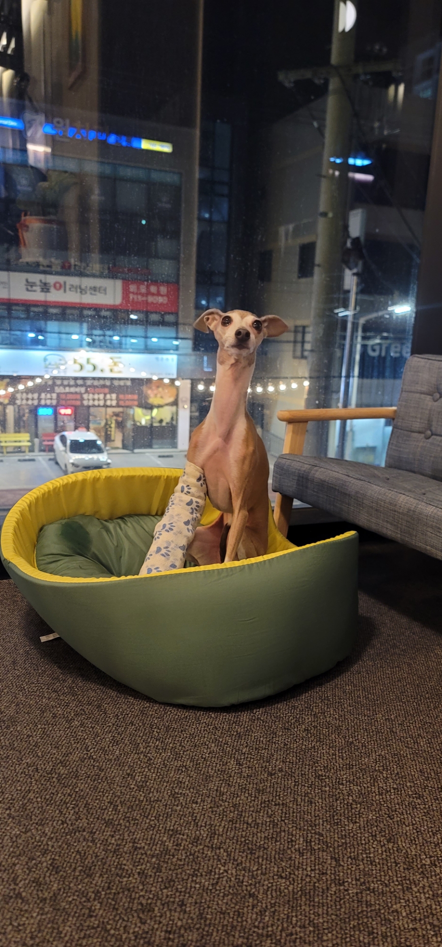 홍프로샵 이미지