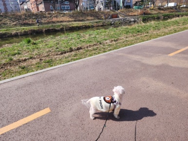 동이옷수선 이미지