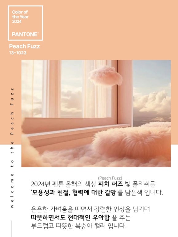 영블리네일 이미지