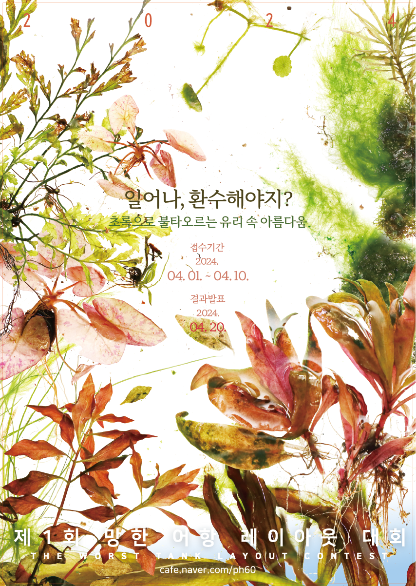 씨알알 이미지