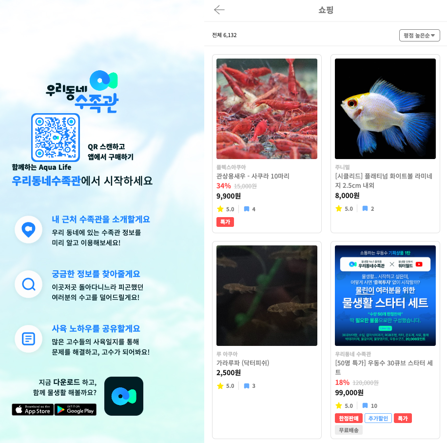 골든 A.D 이미지