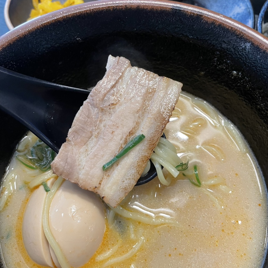 붉은부채집 이미지