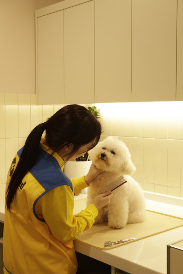 시흥유치원 이미지