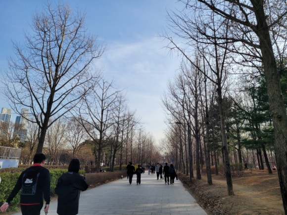 성수동커피 이미지