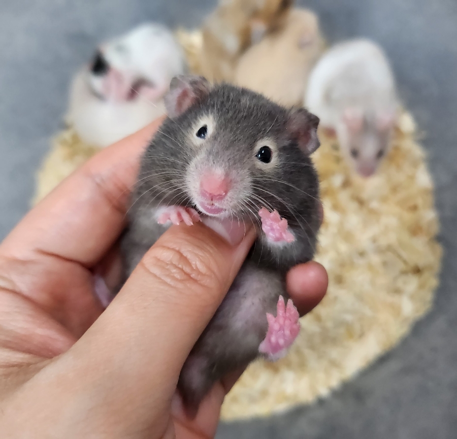 (주)모프 이미지