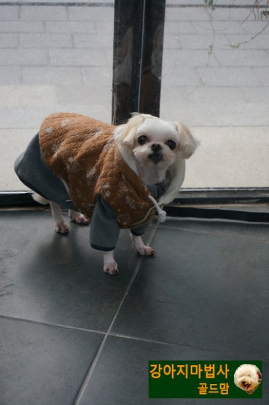 앵두미용실 이미지