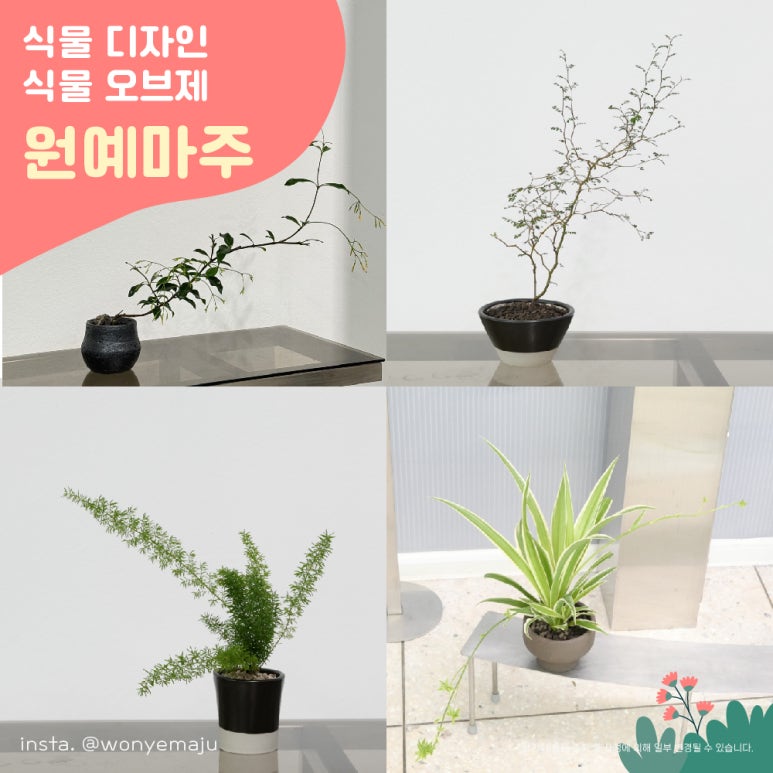 아트앤호프 이미지
