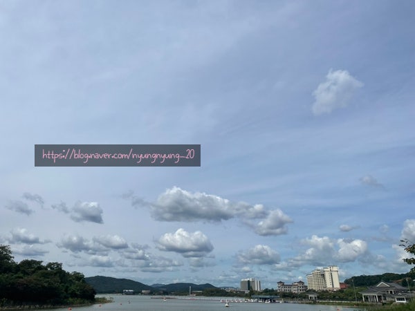 원조경주돼지국밥 이미지