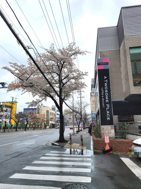 투썸플레이스울산삼산현대점 이미지
