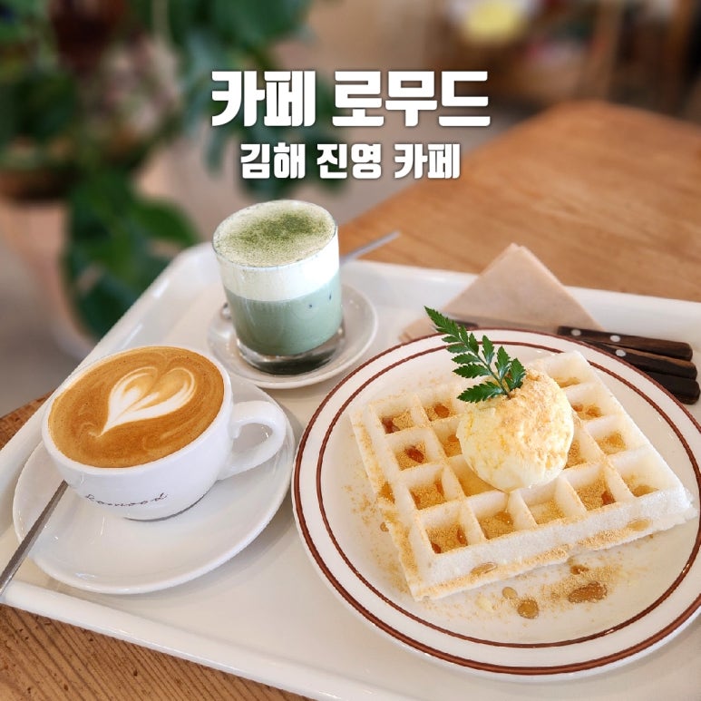 로무드 이미지