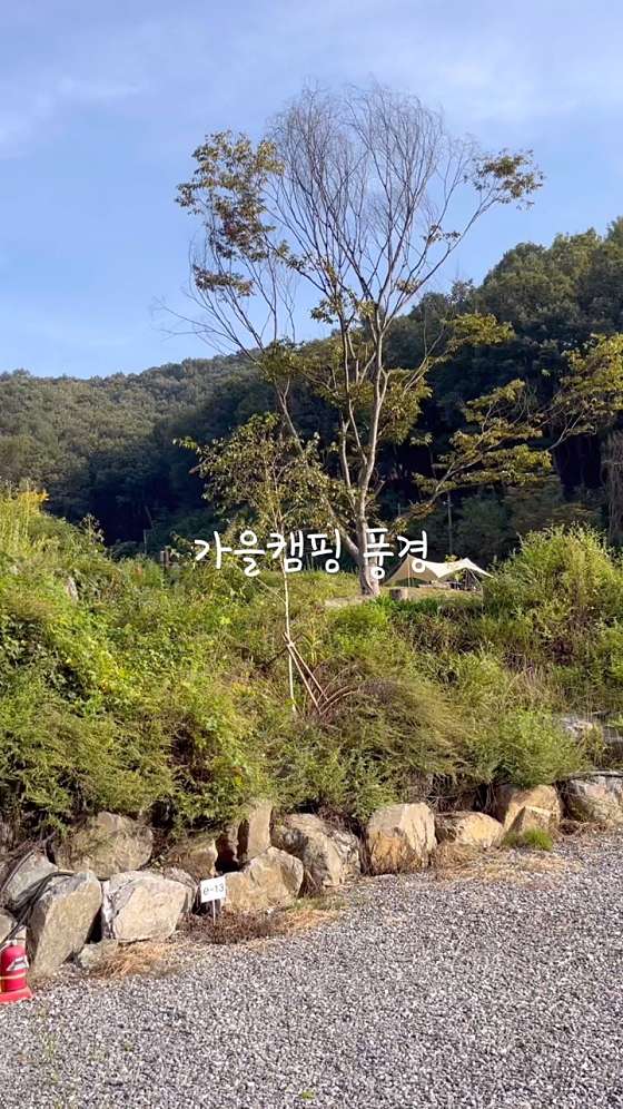 더빌리지캠핑장 이미지