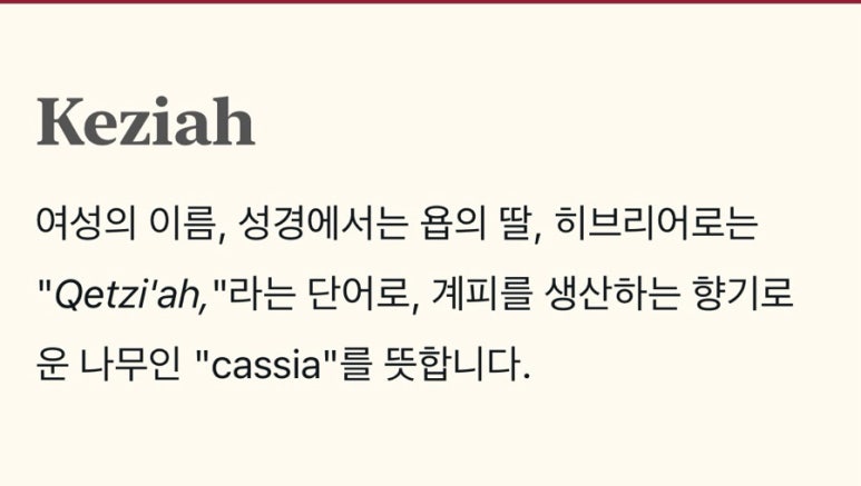 키지아 이미지