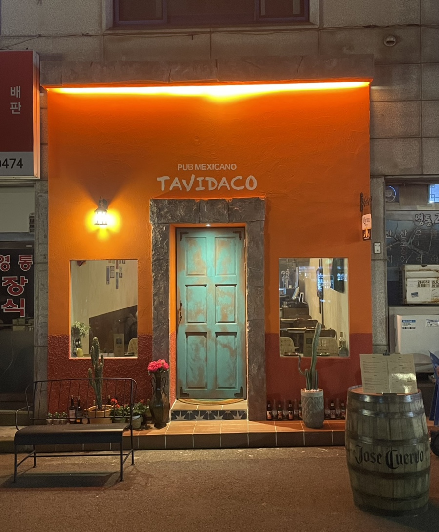 타비다코 이미지
