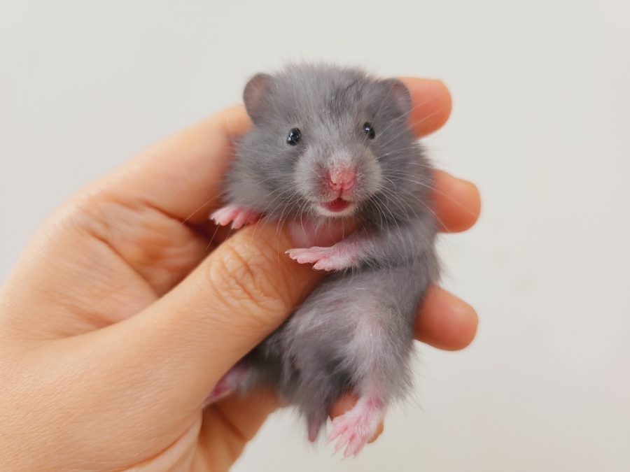 (주)모프 이미지