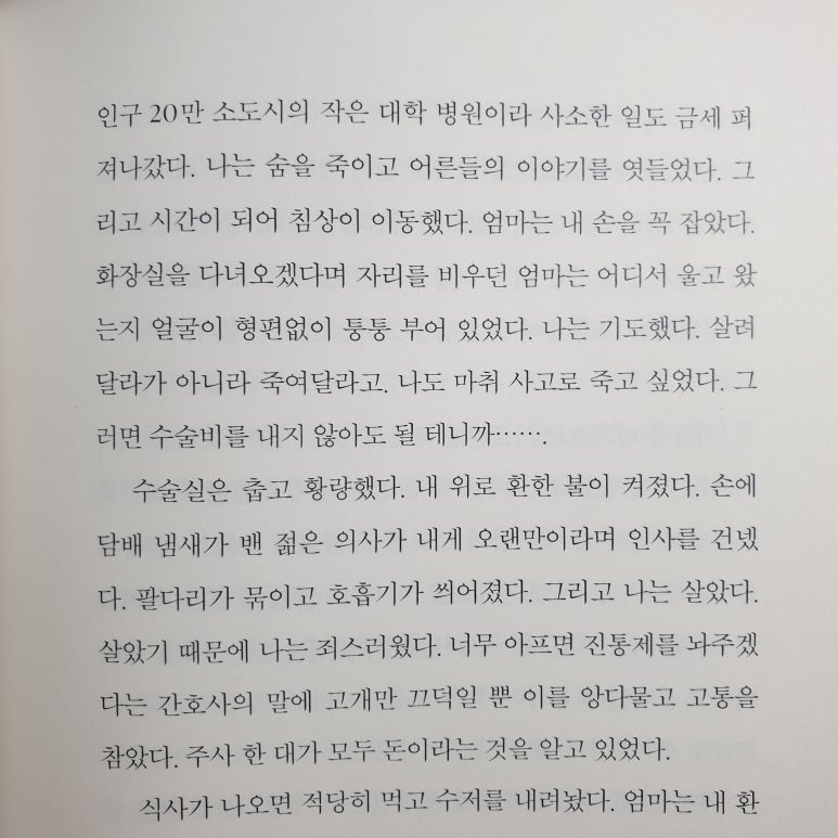 장언니손만두 이미지
