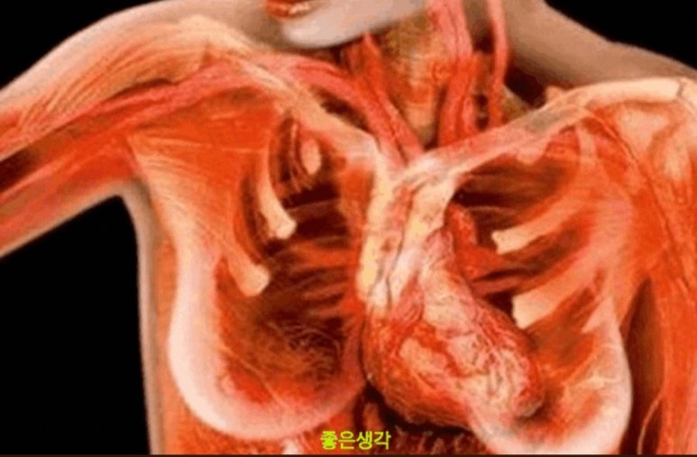 (주)본초바이오 이미지