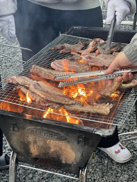 돌고래펜션 이미지