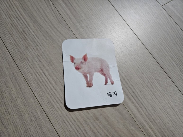 아빠돼지엄마돼지다되지 이미지