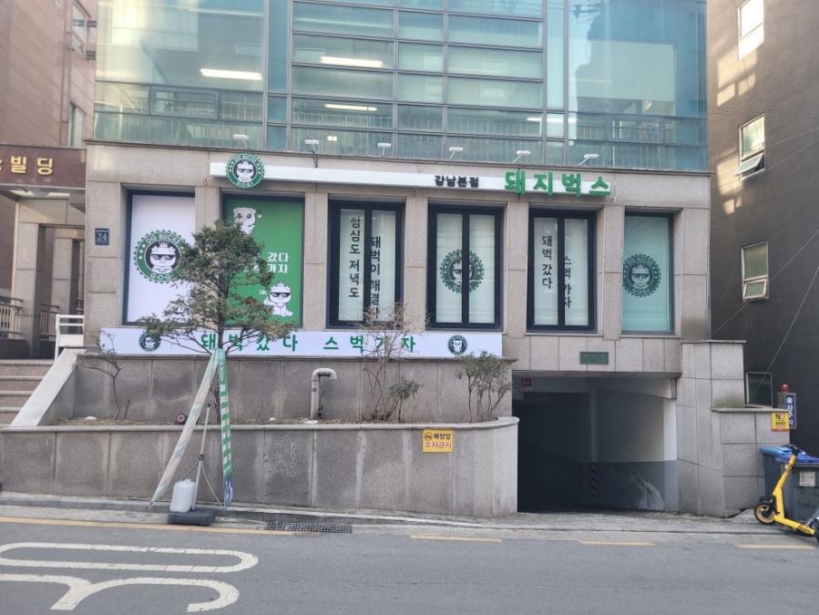 돼지벅스 이미지
