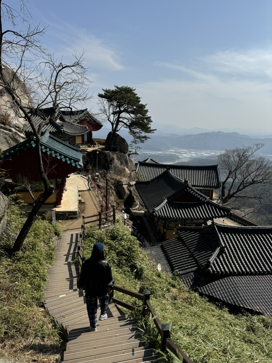스테이외송 이미지