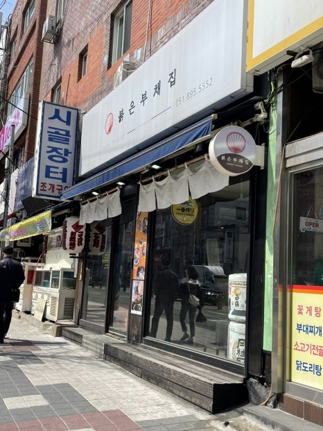 붉은부채집 이미지