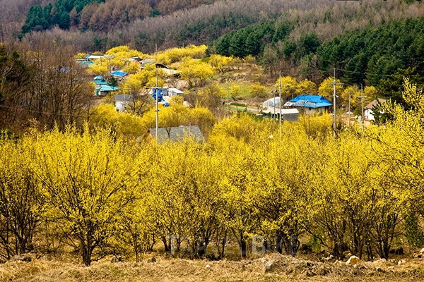 광이원 이미지