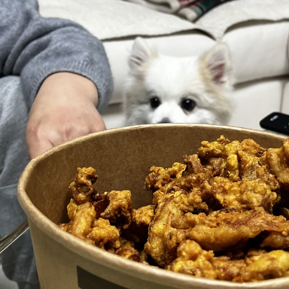 소촌통닭 이미지