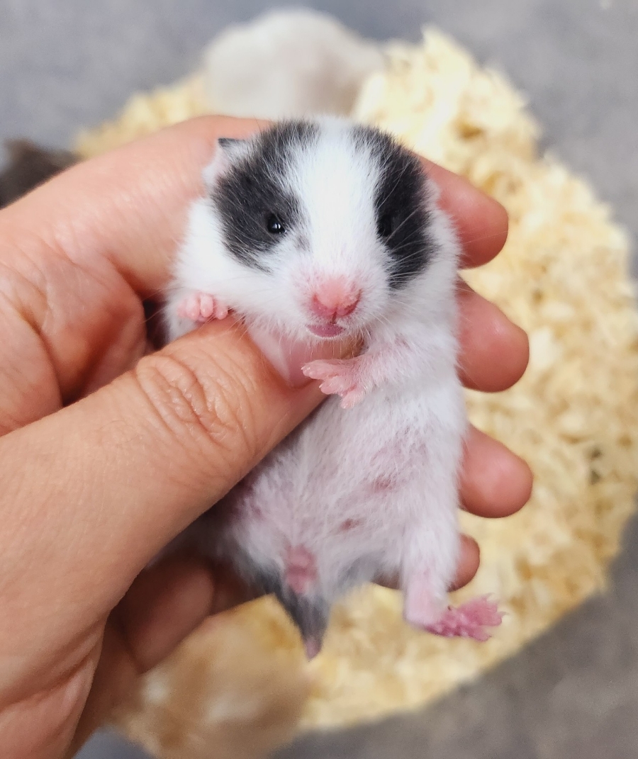 (주)모프 이미지