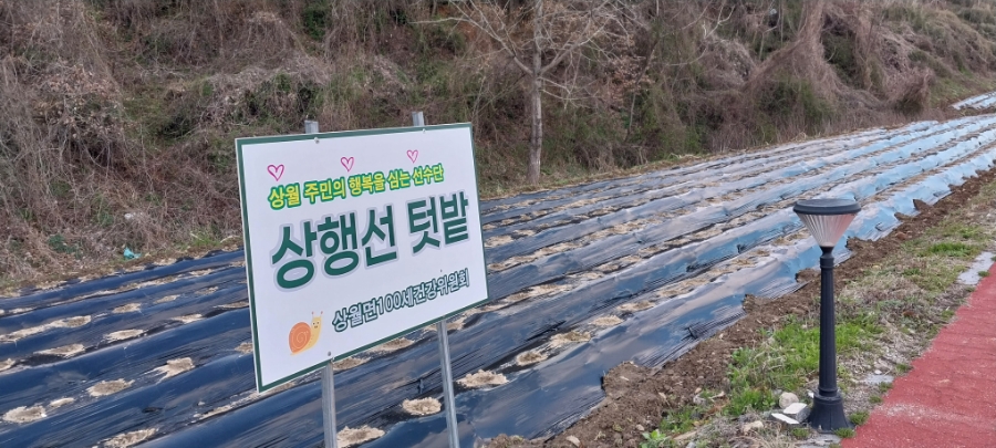상월마을학교사회적협동조합 이미지