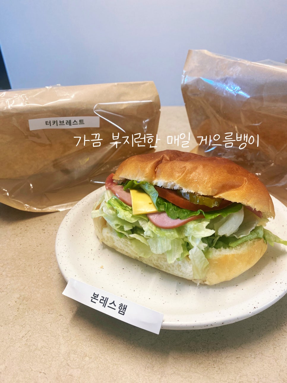 브레덴버거 이미지