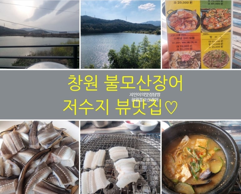 불모산장어 이미지