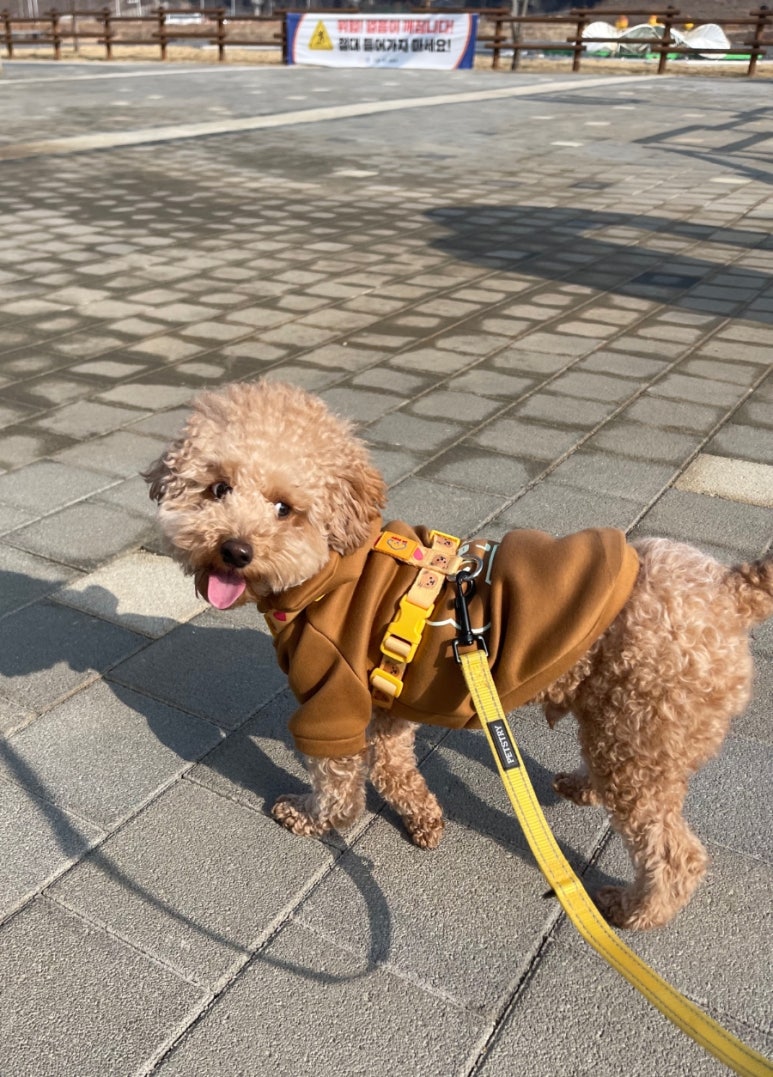 시흥유치원 이미지