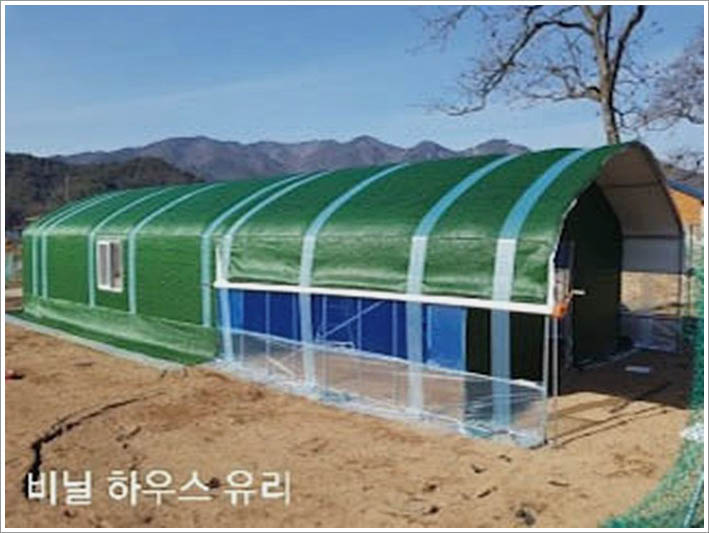 성서유리 이미지