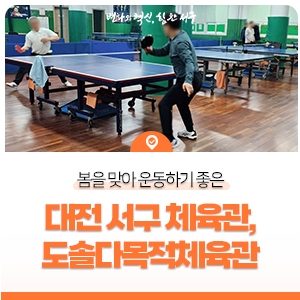 도솔다목적체육관 이미지