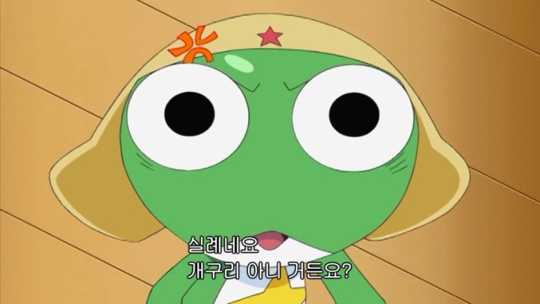 도토 이미지