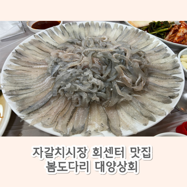 대양상회 이미지