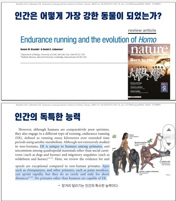 김나시온 이미지
