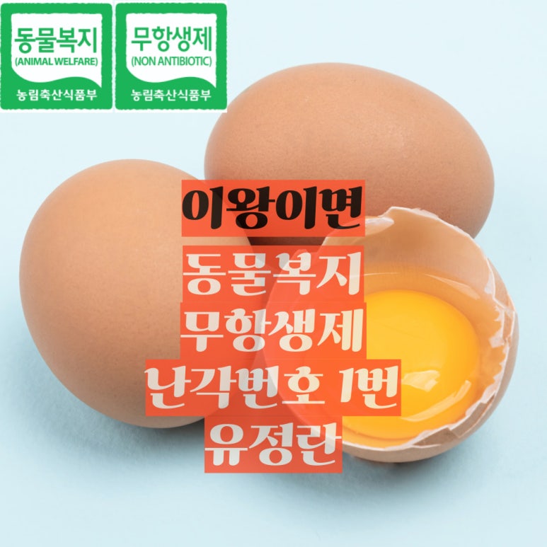 노란계란 이미지