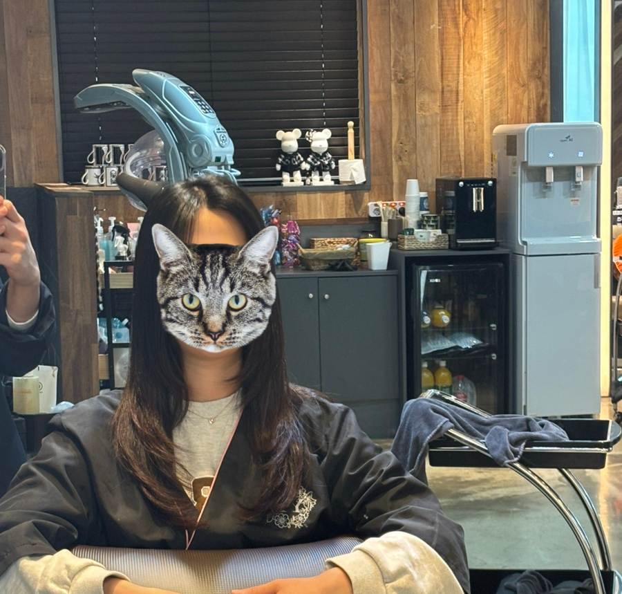 모리스트릿 이미지