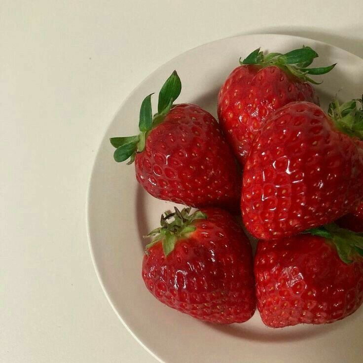 다인촌 이미지