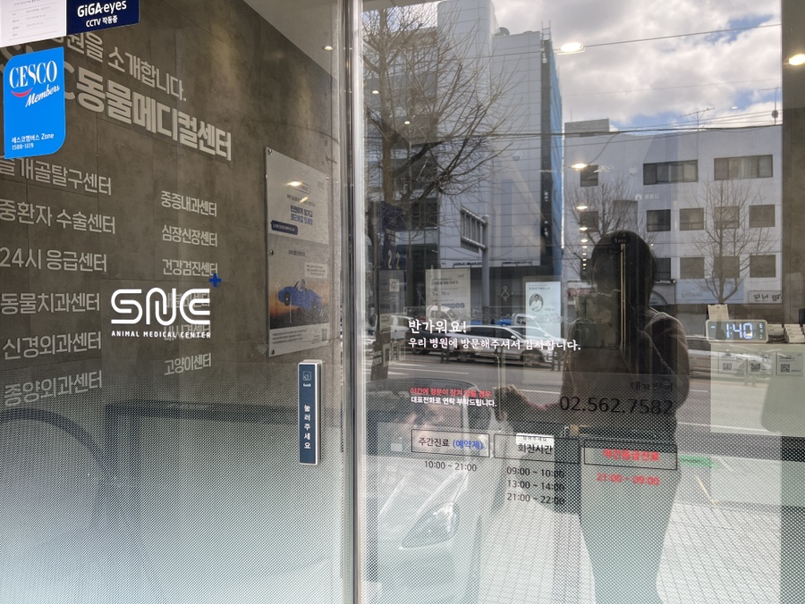 강남 24시 SNC 동물병원 슬개골탈구 진료 후기 및 비용 — 사진 4
