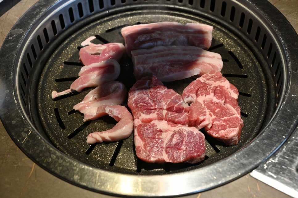 거북이동네부산 이미지