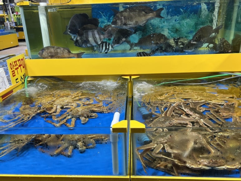 팔복수산 이미지