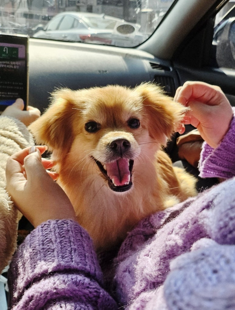 큐어랩스 이미지