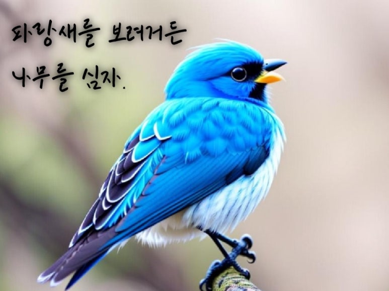 행복한파랑새 이미지