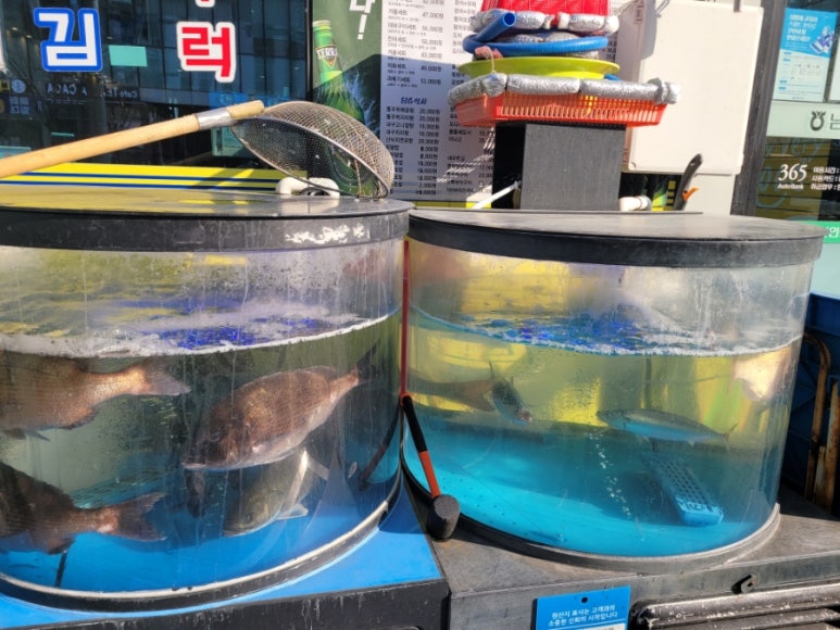 어부몰 이미지
