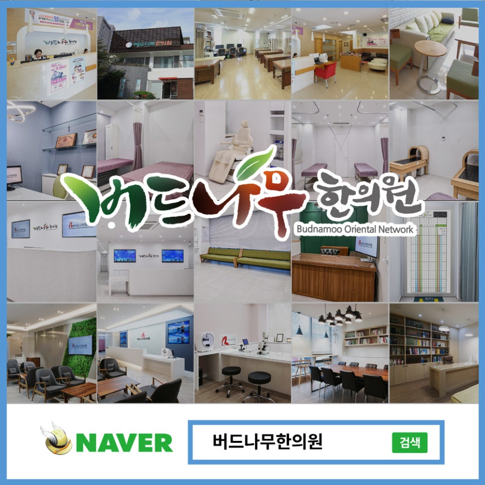 버드나무한의원 이미지