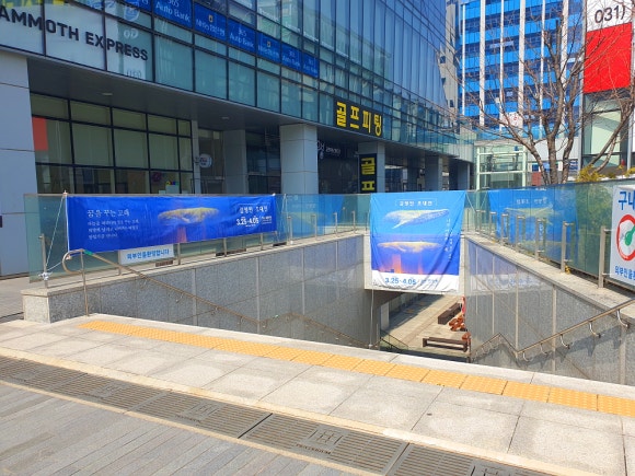 갤러리원 이미지