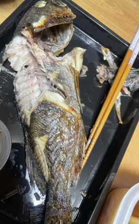 서서자는물고기 이미지