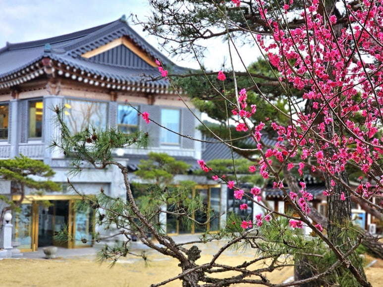 담양정다원 이미지